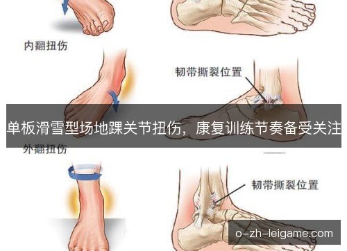单板滑雪型场地踝关节扭伤，康复训练节奏备受关注